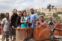 Canon EOS DIGITAL REBEL XSi, 2010:04:08 15:07:01 -- 1/250 sec, f/10.0.  No Flash, Compulsory.3088x2056 Off.