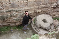 Canon EOS DIGITAL REBEL XSi, 2010:04:08 15:17:39 -- 1/125 sec, f/7.1.  No Flash, Compulsory.3088x2056 Off.