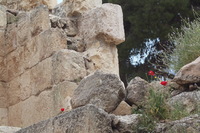 Canon EOS DIGITAL REBEL XSi, 2010:04:08 15:18:08 -- 1/200 sec, f/9.0.  No Flash, Compulsory.3088x2056 Off.