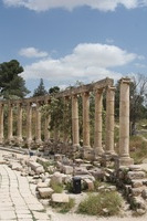 Canon EOS DIGITAL REBEL XSi, 2010:04:08 15:25:03 -- 1/400 sec, f/11.0.  No Flash, Compulsory.3088x2056 Off.