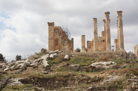 Canon EOS DIGITAL REBEL XSi, 2010:04:08 15:28:52 -- 1/320 sec, f/11.0.  No Flash, Compulsory.3088x2056 Off.