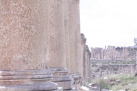 Canon EOS DIGITAL REBEL XSi, 2010:04:08 15:35:35 -- 1/125 sec, f/29.0.  No Flash, Compulsory.3088x2056 Off.