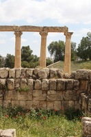 Canon EOS DIGITAL REBEL XSi, 2010:04:08 15:38:39 -- 1/250 sec, f/10.0.  No Flash, Compulsory.3088x2056 Off.