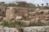 Canon EOS DIGITAL REBEL XSi, 2010:04:08 15:41:47 -- 1/250 sec, f/11.0.  No Flash, Compulsory.3088x2056 Off.