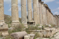 Canon EOS DIGITAL REBEL XSi, 2010:04:08 15:43:15 -- 1/400 sec, f/11.0.  No Flash, Compulsory.3088x2056 Off.