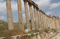 Canon EOS DIGITAL REBEL XSi, 2010:04:08 15:43:59 -- 1/400 sec, f/11.0.  No Flash, Compulsory.3088x2056 Off.