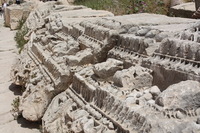 Canon EOS DIGITAL REBEL XSi, 2010:04:08 15:50:17 -- 1/400 sec, f/11.0.  No Flash, Compulsory.3088x2056 Off.