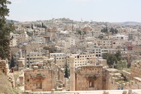 Canon EOS DIGITAL REBEL XSi, 2010:04:08 15:55:56 -- 1/250 sec, f/10.0.  No Flash, Compulsory.3088x2056 Off.