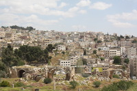 Canon EOS DIGITAL REBEL XSi, 2010:04:08 15:57:50 -- 1/250 sec, f/11.0.  No Flash, Compulsory.3088x2056 Off.