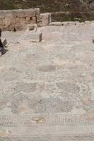 Canon EOS DIGITAL REBEL XSi, 2010:04:08 16:01:34 -- 1/500 sec, f/14.0.  No Flash, Compulsory.3088x2056 Off.