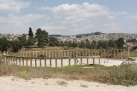 Canon EOS DIGITAL REBEL XSi, 2010:04:08 16:29:52 -- 1/400 sec, f/11.0.  No Flash, Compulsory.3088x2056 Off.