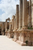 Canon EOS DIGITAL REBEL XSi, 2010:04:08 16:32:35 -- 1/400 sec, f/11.0.  No Flash, Compulsory.3088x2056 Off.