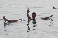 Canon EOS DIGITAL REBEL XSi, 2010:04:08 20:04:54 -- 1/500 sec, f/8.0.  No Flash, Compulsory.3088x2056 Off.