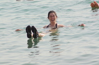 Canon EOS DIGITAL REBEL XSi, 2010:04:08 20:05:03 -- 1/500 sec, f/8.0.  No Flash, Compulsory.3088x2056 Off.