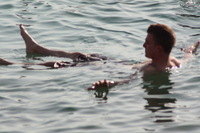 Canon EOS DIGITAL REBEL XSi, 2010:04:08 20:05:59 -- 1/500 sec, f/8.0.  No Flash.3088x2056 External Flash.