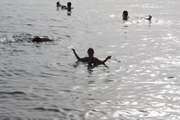 Canon EOS DIGITAL REBEL XSi, 2010:04:08 20:07:26 -- 1/500 sec, f/11.0.  No Flash, Compulsory.3088x2056 Off.