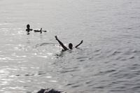 Canon EOS DIGITAL REBEL XSi, 2010:04:08 20:07:32 -- 1/500 sec, f/11.0.  No Flash, Compulsory.3088x2056 Off.