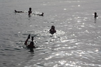 Canon EOS DIGITAL REBEL XSi, 2010:04:08 20:07:38 -- 1/500 sec, f/11.0.  No Flash, Compulsory.3088x2056 Off.