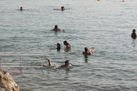 Canon EOS DIGITAL REBEL XSi, 2010:04:08 20:07:49 -- 1/400 sec, f/10.0.  No Flash, Compulsory.3088x2056 Off.