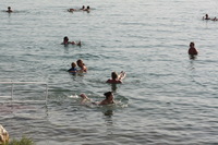 Canon EOS DIGITAL REBEL XSi, 2010:04:08 20:07:50 -- 1/400 sec, f/10.0.  No Flash, Compulsory.3088x2056 Off.