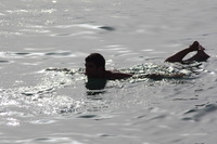 Canon EOS DIGITAL REBEL XSi, 2010:04:08 20:08:30 -- 1/800 sec, f/9.0.  No Flash, Compulsory.3088x2056 Off.