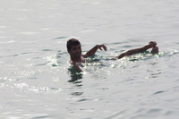 Canon EOS DIGITAL REBEL XSi, 2010:04:08 20:08:33 -- 1/640 sec, f/8.0.  No Flash, Compulsory.3088x2056 Off.