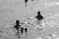 Canon EOS DIGITAL REBEL XSi, 2010:04:08 20:08:39 -- 1/500 sec, f/9.0.  No Flash, Compulsory.3088x2056 Off.