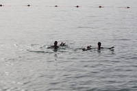 Canon EOS DIGITAL REBEL XSi, 2010:04:08 20:09:05 -- 1/500 sec, f/10.0.  No Flash, Compulsory.3088x2056 Off.