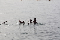 Canon EOS DIGITAL REBEL XSi, 2010:04:08 20:09:44 -- 1/500 sec, f/10.0.  No Flash, Compulsory.3088x2056 Off.