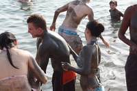 Canon EOS DIGITAL REBEL XSi, 2010:04:08 20:30:17 -- 1/200 sec, f/7.1.  No Flash, Compulsory.3088x2056 Off.