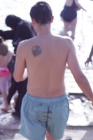 Canon EOS DIGITAL REBEL XSi, 2010:04:08 20:34:24 -- 1/2000 sec, f/5.6.  No Flash, Compulsory.3088x2056 Off.