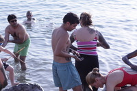 Canon EOS DIGITAL REBEL XSi, 2010:04:08 20:35:28 -- 1/3200 sec, f/5.6.  No Flash, Compulsory.3088x2056 Off.