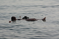 Canon EOS DIGITAL REBEL XSi, 2010:04:08 21:07:18 -- 1/500 sec, f/7.1.  No Flash, Compulsory.3088x2056 Off.