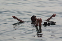 Canon EOS DIGITAL REBEL XSi, 2010:04:08 21:07:36 -- 1/500 sec, f/8.0.  No Flash, Compulsory.3088x2056 Off.