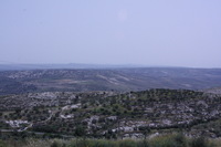 Canon EOS DIGITAL REBEL XSi, 2010:04:09 16:27:16 -- 1/1250 sec, f/22.0.  No Flash, Compulsory.3088x2056 Off.