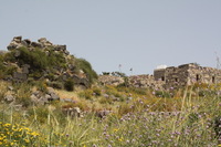 Canon EOS DIGITAL REBEL XSi, 2010:04:09 16:34:55 -- 1/400 sec, f/11.0.  No Flash, Compulsory.3088x2056 Off.