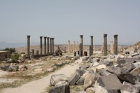 Canon EOS DIGITAL REBEL XSi, 2010:04:09 16:40:13 -- 1/400 sec, f/13.0.  No Flash, Compulsory.3088x2056 Off.