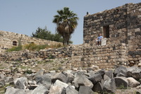 Canon EOS DIGITAL REBEL XSi, 2010:04:09 16:40:54 -- 1/320 sec, f/11.0.  No Flash, Compulsory.3088x2056 Off.