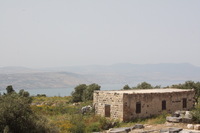 Canon EOS DIGITAL REBEL XSi, 2010:04:09 16:41:18 -- 1/200 sec, f/20.0.  Flash, Compulsory.3088x2056 External Flash.