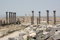 Canon EOS DIGITAL REBEL XSi, 2010:04:09 16:41:37 -- 1/320 sec, f/11.0.  No Flash, Compulsory.3088x2056 Off.