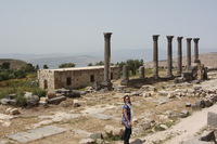 Canon EOS DIGITAL REBEL XSi, 2010:04:09 16:43:15 -- 1/320 sec, f/11.0.  No Flash, Compulsory.3088x2056 Off.