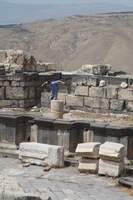 Canon EOS DIGITAL REBEL XSi, 2010:04:09 16:52:24 -- 1/1000 sec, f/10.0.  No Flash, Compulsory.3088x2056 Off.