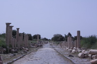 Canon EOS DIGITAL REBEL XSi, 2010:04:09 17:12:10 -- 1/1250 sec, f/22.0.  No Flash, Compulsory.3088x2056 Off.