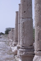 Canon EOS DIGITAL REBEL XSi, 2010:04:09 17:15:30 -- 1/800 sec, f/20.0.  No Flash, Compulsory.3088x2056 Off.