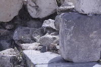 Canon EOS DIGITAL REBEL XSi, 2010:04:09 17:18:43 -- 1/640 sec, f/16.0.  No Flash, Compulsory.3088x2056 Off.