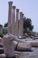 Canon EOS DIGITAL REBEL XSi, 2010:04:09 17:18:50 -- 1/800 sec, f/20.0.  No Flash, Compulsory.3088x2056 Off.