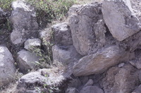 Canon EOS DIGITAL REBEL XSi, 2010:04:09 17:21:46 -- 1/500 sec, f/14.0.  No Flash, Compulsory.3088x2056 Off.