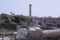 Canon EOS DIGITAL REBEL XSi, 2010:04:09 17:23:26 -- 1/1000 sec, f/18.0.  No Flash, Compulsory.3088x2056 Off.