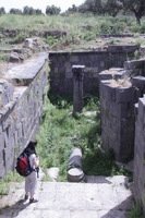 Canon EOS DIGITAL REBEL XSi, 2010:04:09 17:28:55 -- 1/500 sec, f/14.0.  No Flash, Compulsory.3088x2056 Off.