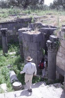 Canon EOS DIGITAL REBEL XSi, 2010:04:09 17:29:20 -- 1/500 sec, f/14.0.  No Flash, Compulsory.3088x2056 Off.